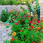 Apartmán Voula Myrtos *