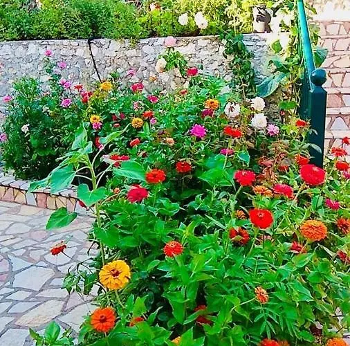 公寓 Voula Myrtos *