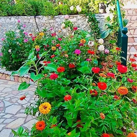 Апартаменты Voula Myrtos *